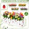 4-Piece Artificial Daisy Plants in Picket Fence Pots – Colorful Spring Decor for Home, Office & Wedding